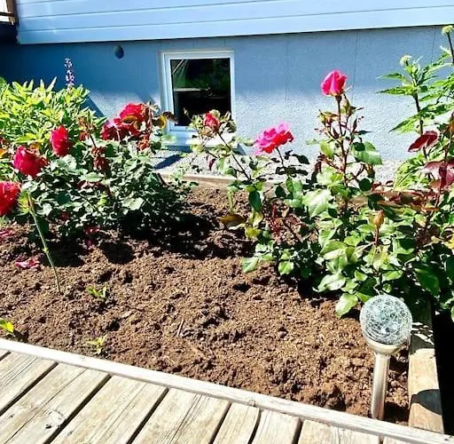 Koselig Kjeller Apartament Larvik